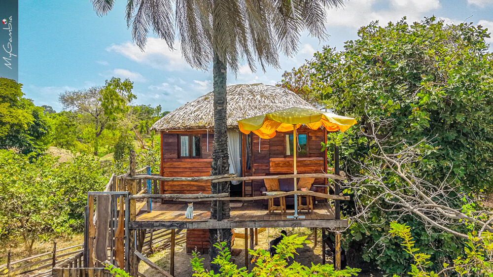 Canopy Treehouse (de boomhut tussen de bomen) bij Mansa Musso Treehouse Lodge, Sanyang — foto 11