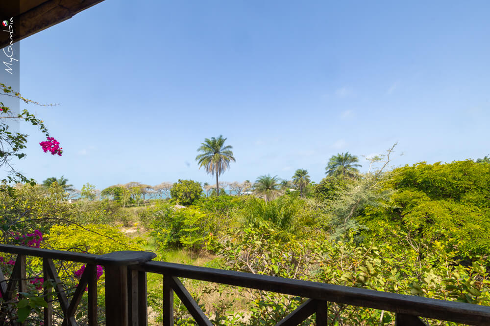 Canopy Treehouse (de boomhut tussen de bomen) bij Mansa Musso Treehouse Lodge, Sanyang — foto 13
