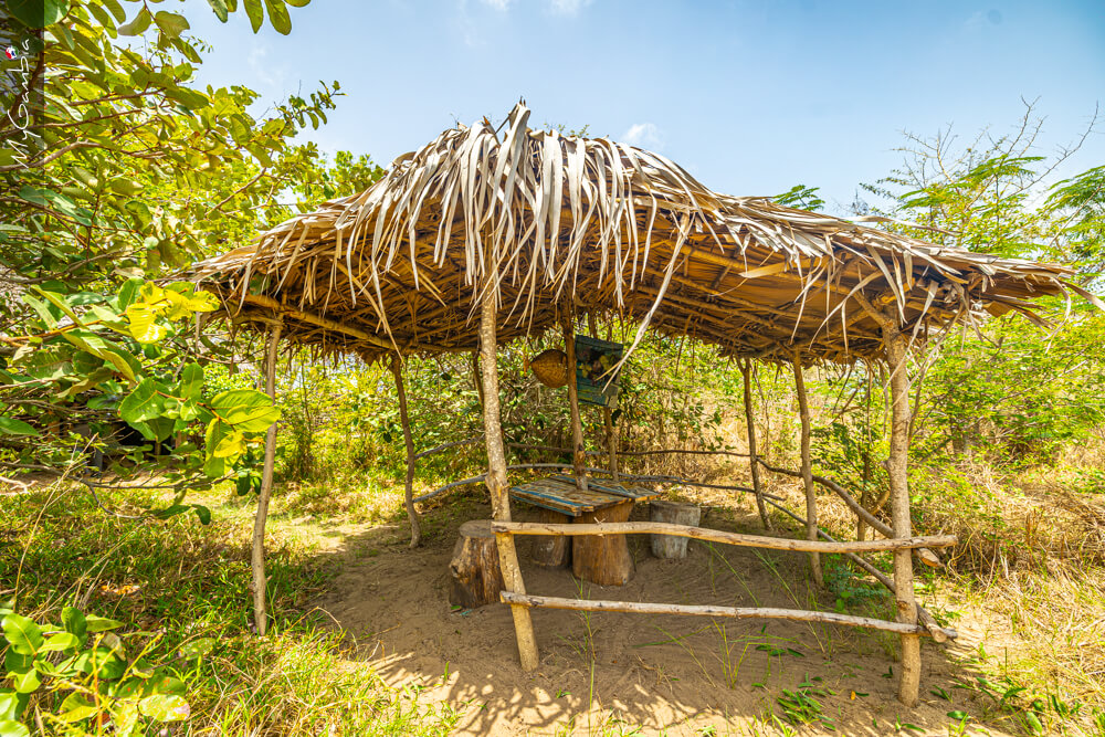 Round house at Mansa Musso Treehouse Lodge, Sanyang — photo 19