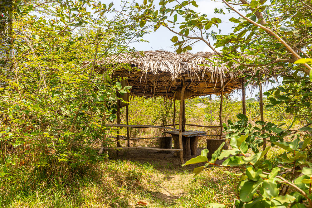 Round house at Mansa Musso Treehouse Lodge, Sanyang — photo 15