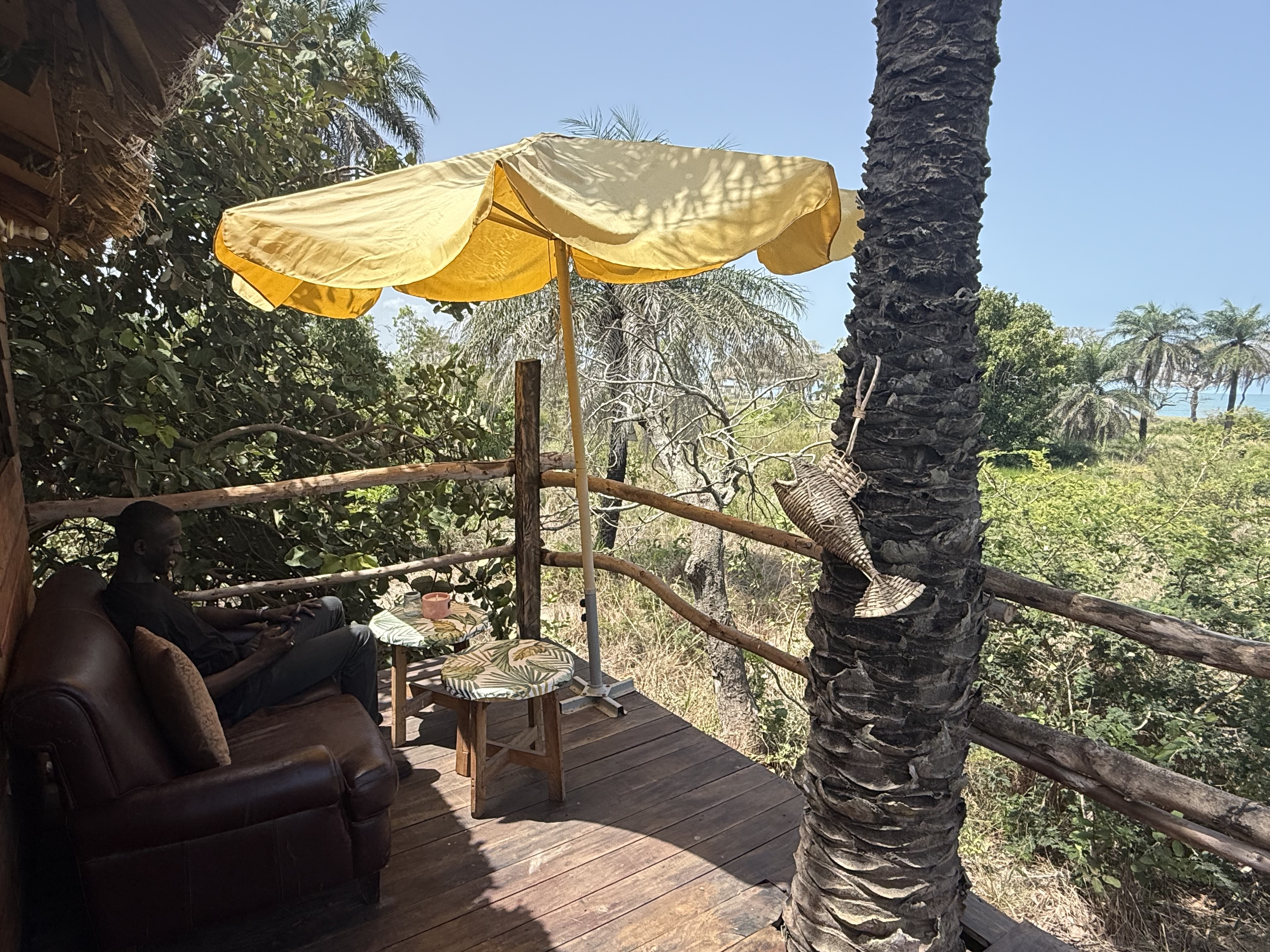 Canopy Treehouse (de boomhut tussen de bomen) bij Mansa Musso Treehouse Lodge, Sanyang — foto 12