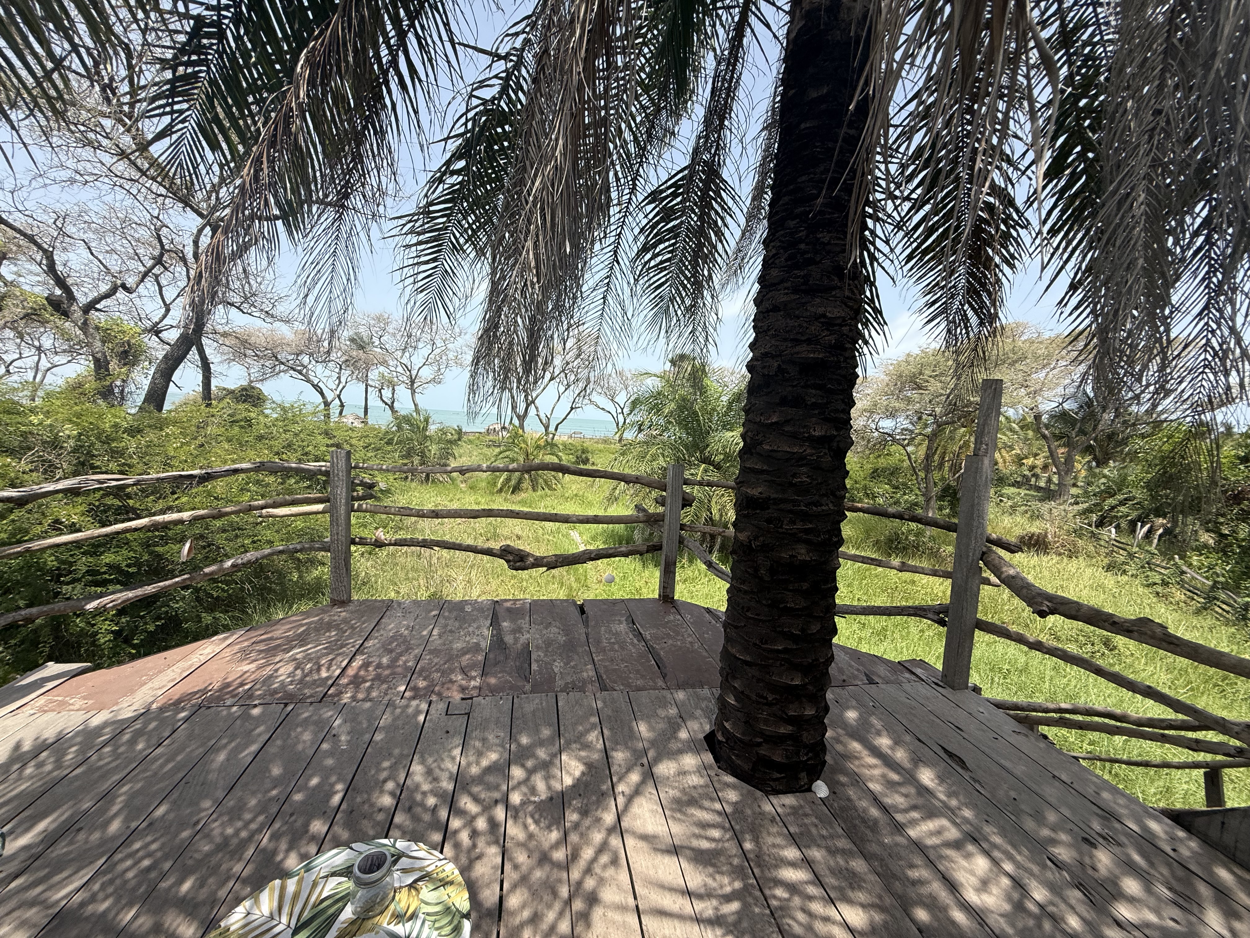Treehouse at Mansa Musso Treehouse Lodge, Sanyang — photo 5