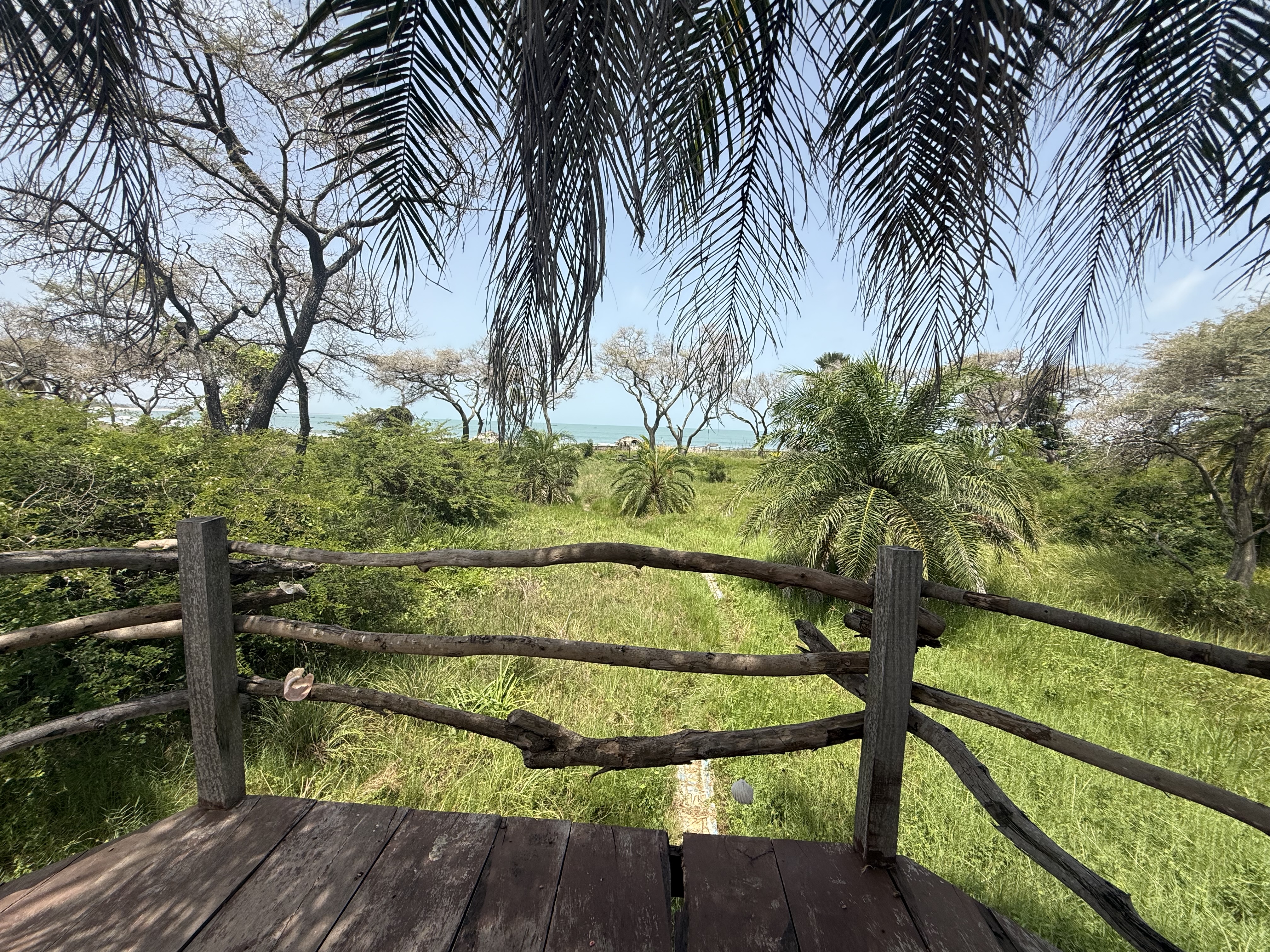 Treehouse at Mansa Musso Treehouse Lodge, Sanyang — photo 6