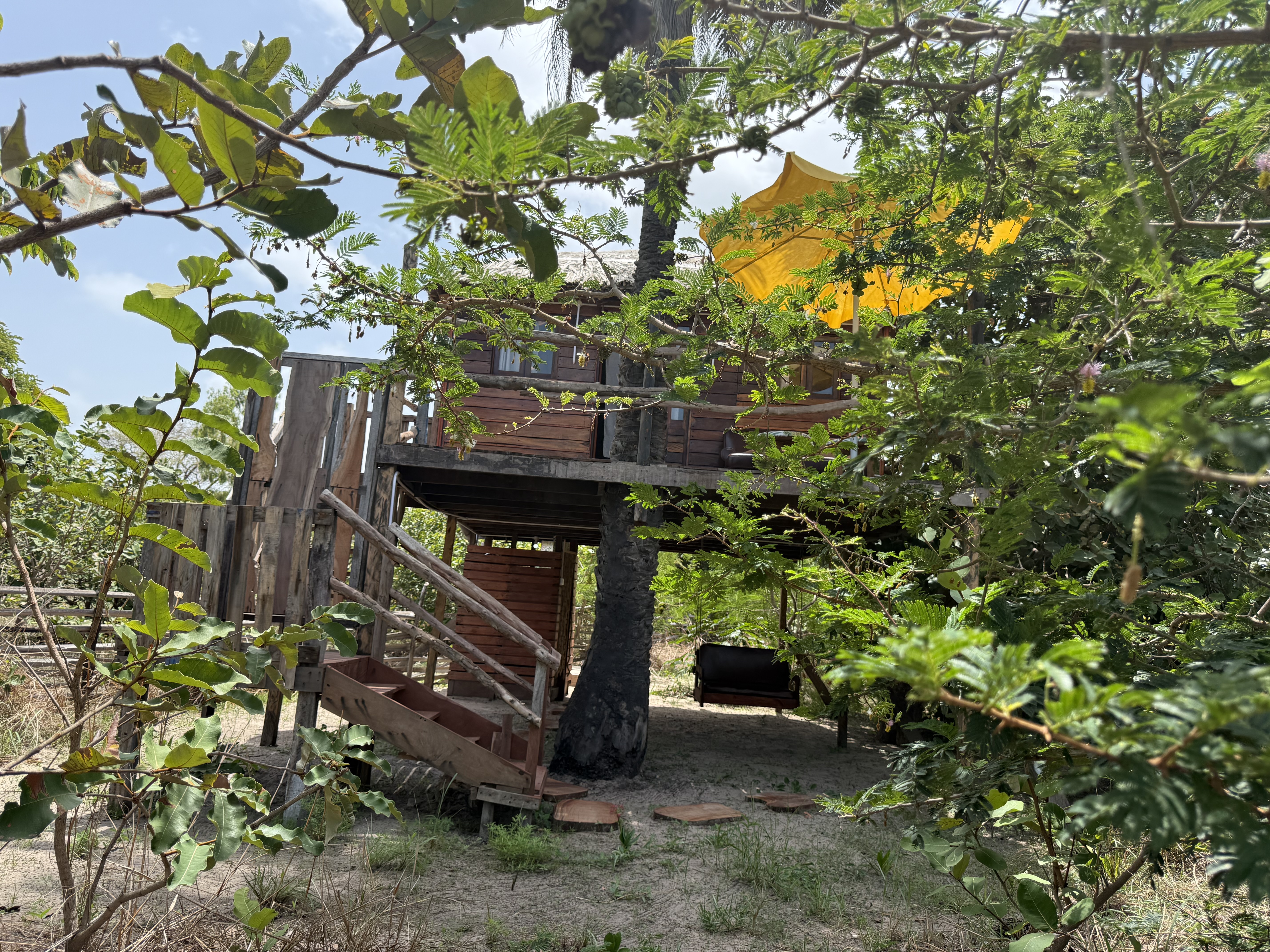 Canopy Treehouse (de boomhut tussen de bomen) bij Mansa Musso Treehouse Lodge, Sanyang — foto 19
