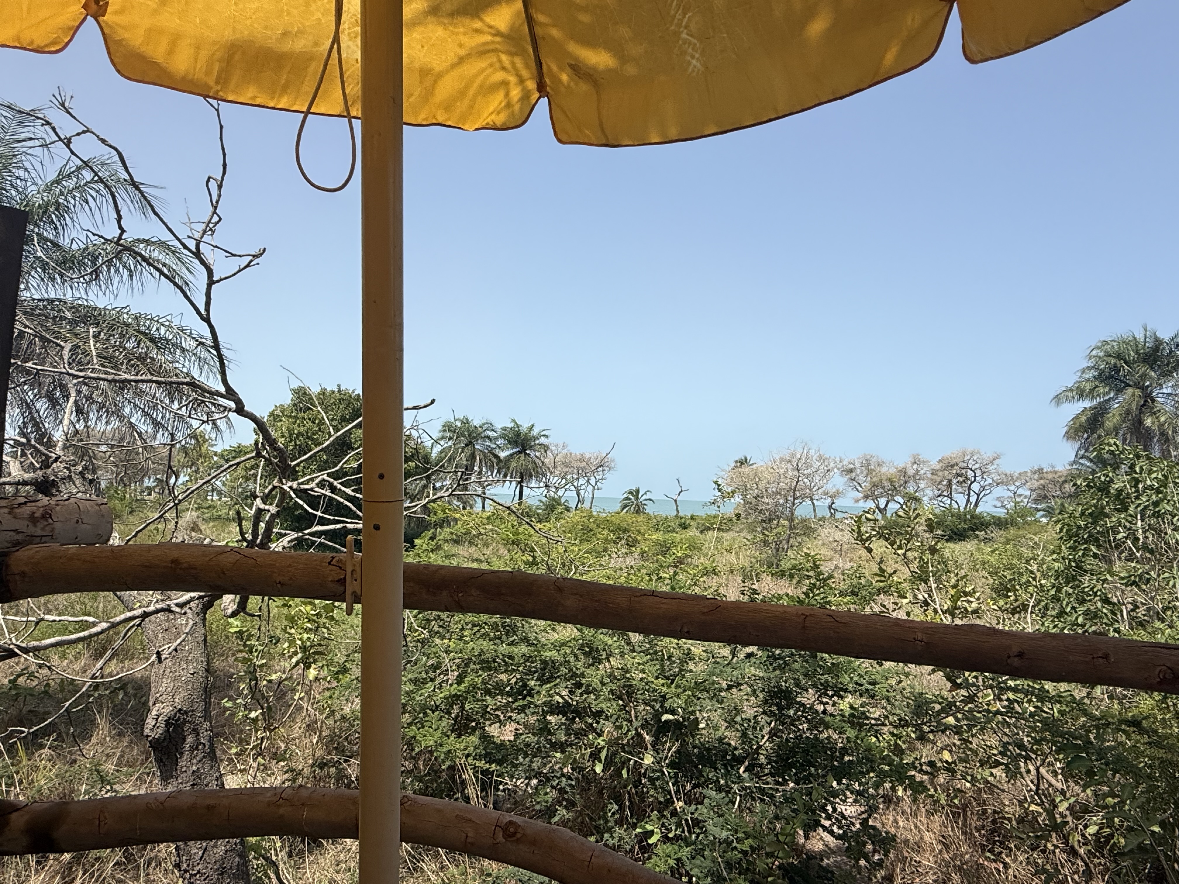 Canopy Treehouse (de boomhut tussen de bomen) bij Mansa Musso Treehouse Lodge, Sanyang — foto 18
