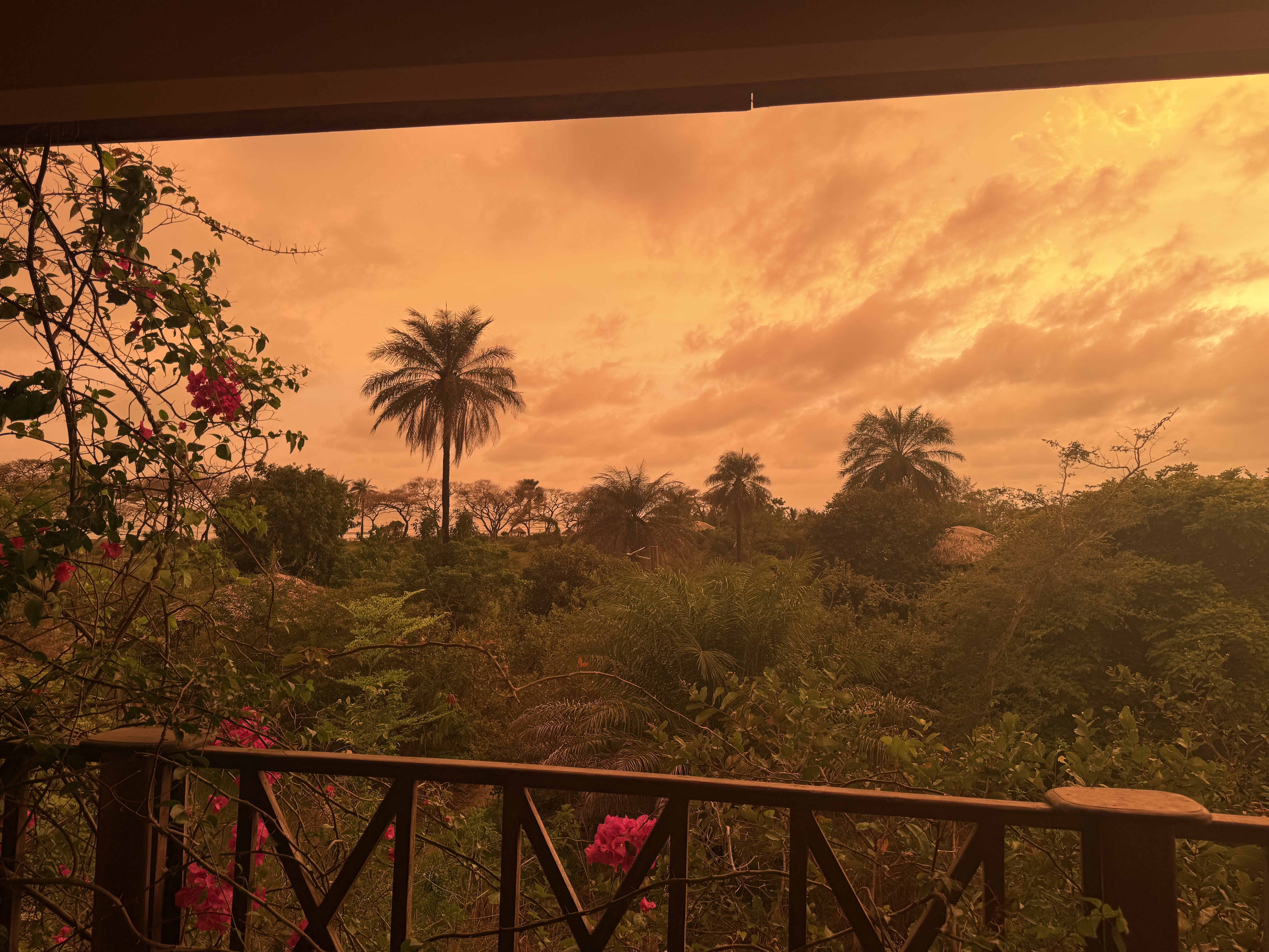 Apartment Seaview at Mansa Musso Treehouse Lodge, Sanyang — photo 5