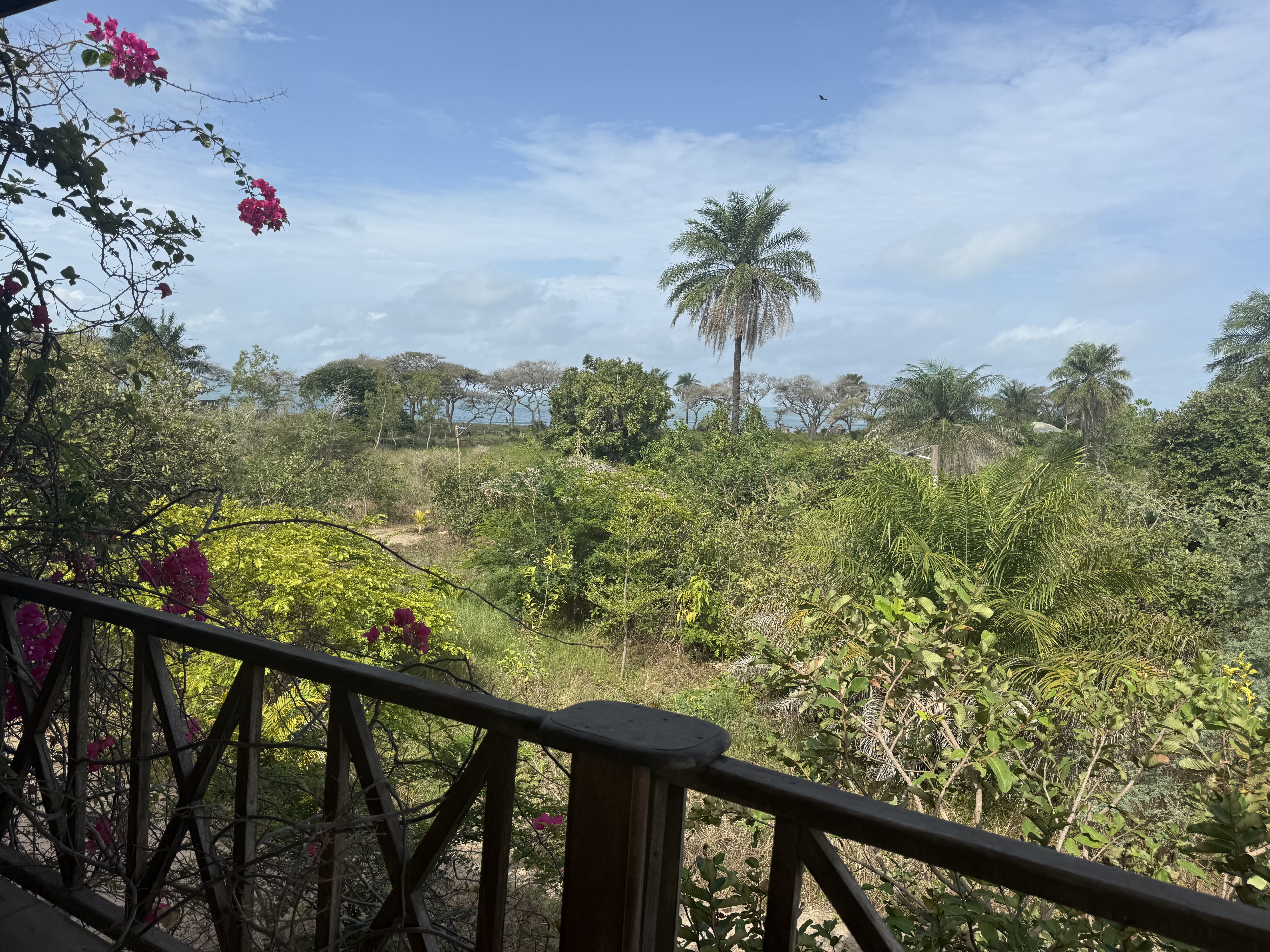 Apartment Seaview at Mansa Musso Treehouse Lodge, Sanyang — photo 6