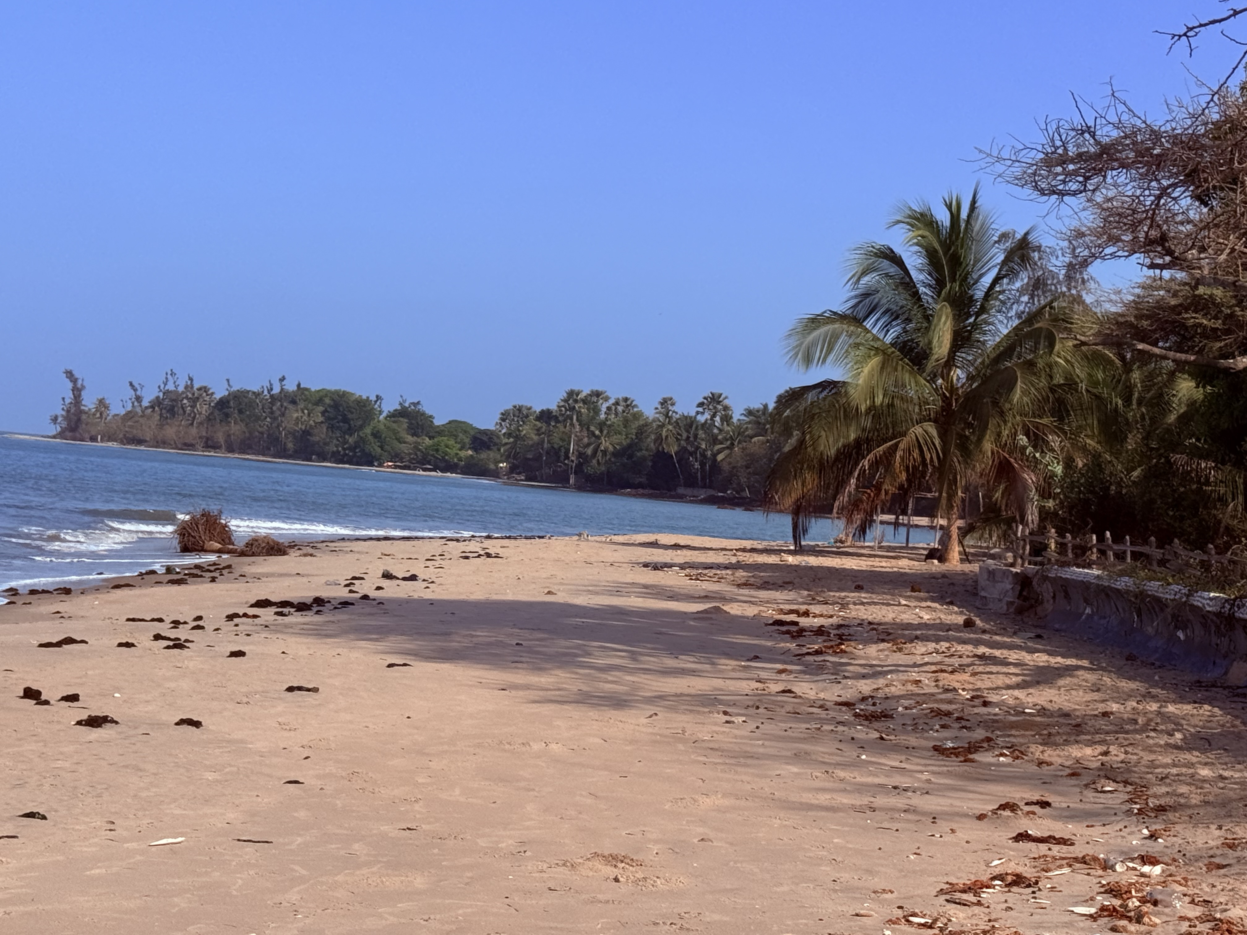 Apartment Seaview at Mansa Musso Treehouse Lodge, Sanyang — photo 7