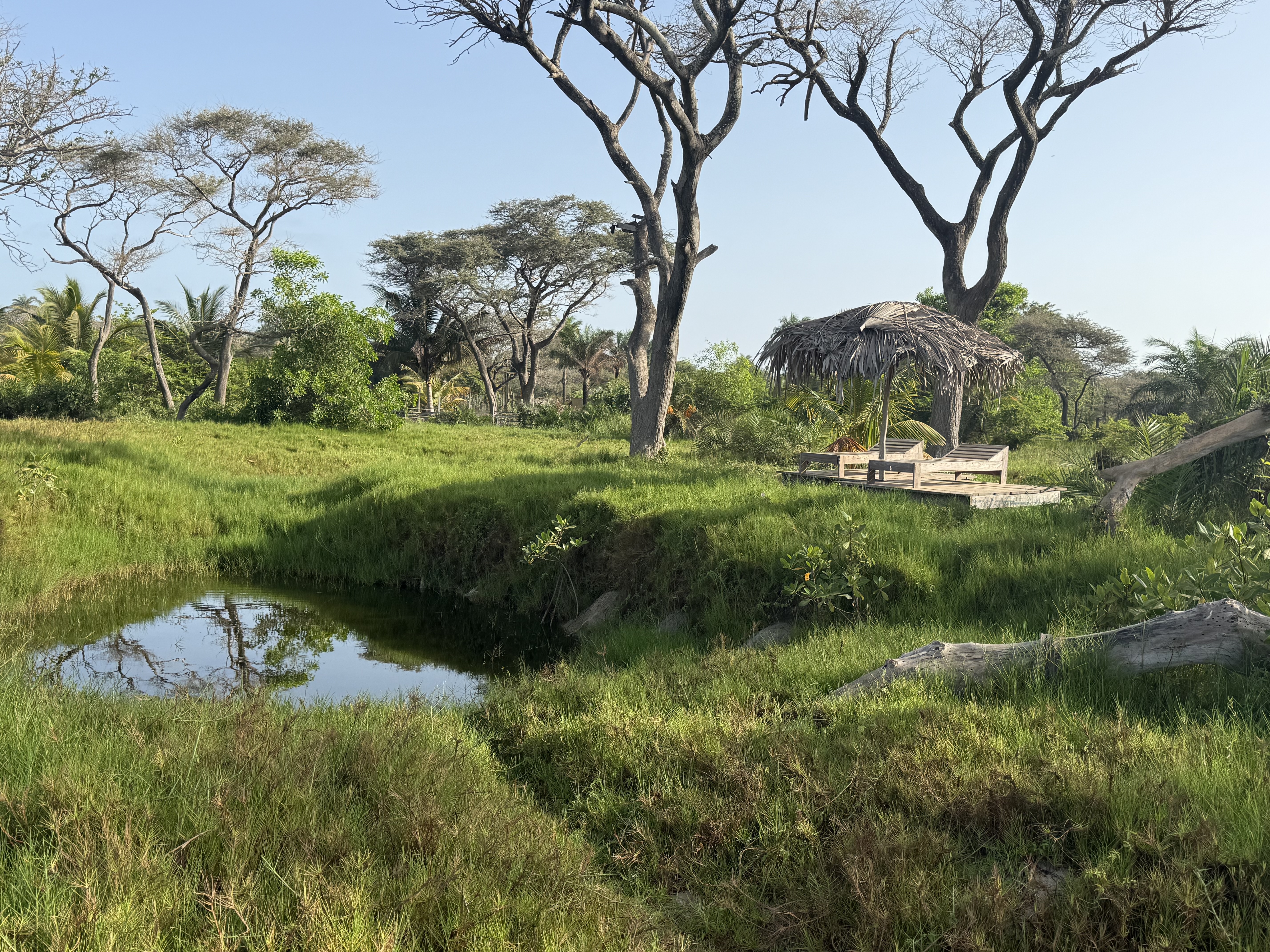 Apartment Seaview at Mansa Musso Treehouse Lodge, Sanyang — photo 9