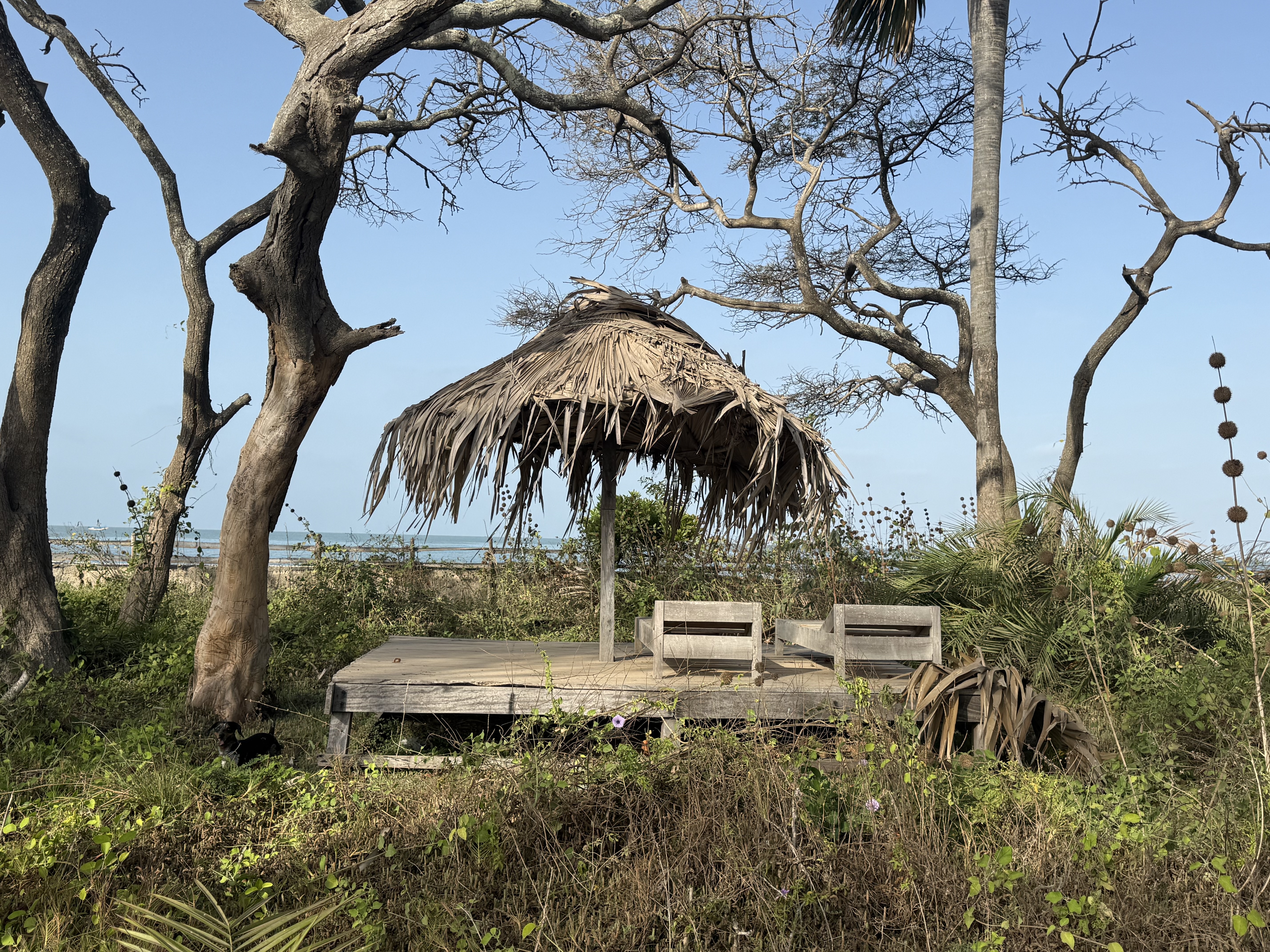 Apartment Seaview at Mansa Musso Treehouse Lodge, Sanyang — photo 10