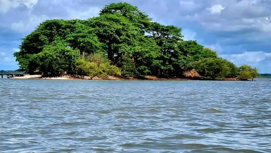 Kunta kinteh Island Roots Tour