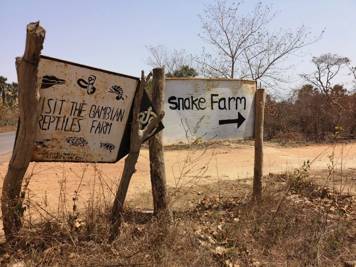 Snake Farm, Kartong & Pelican  land