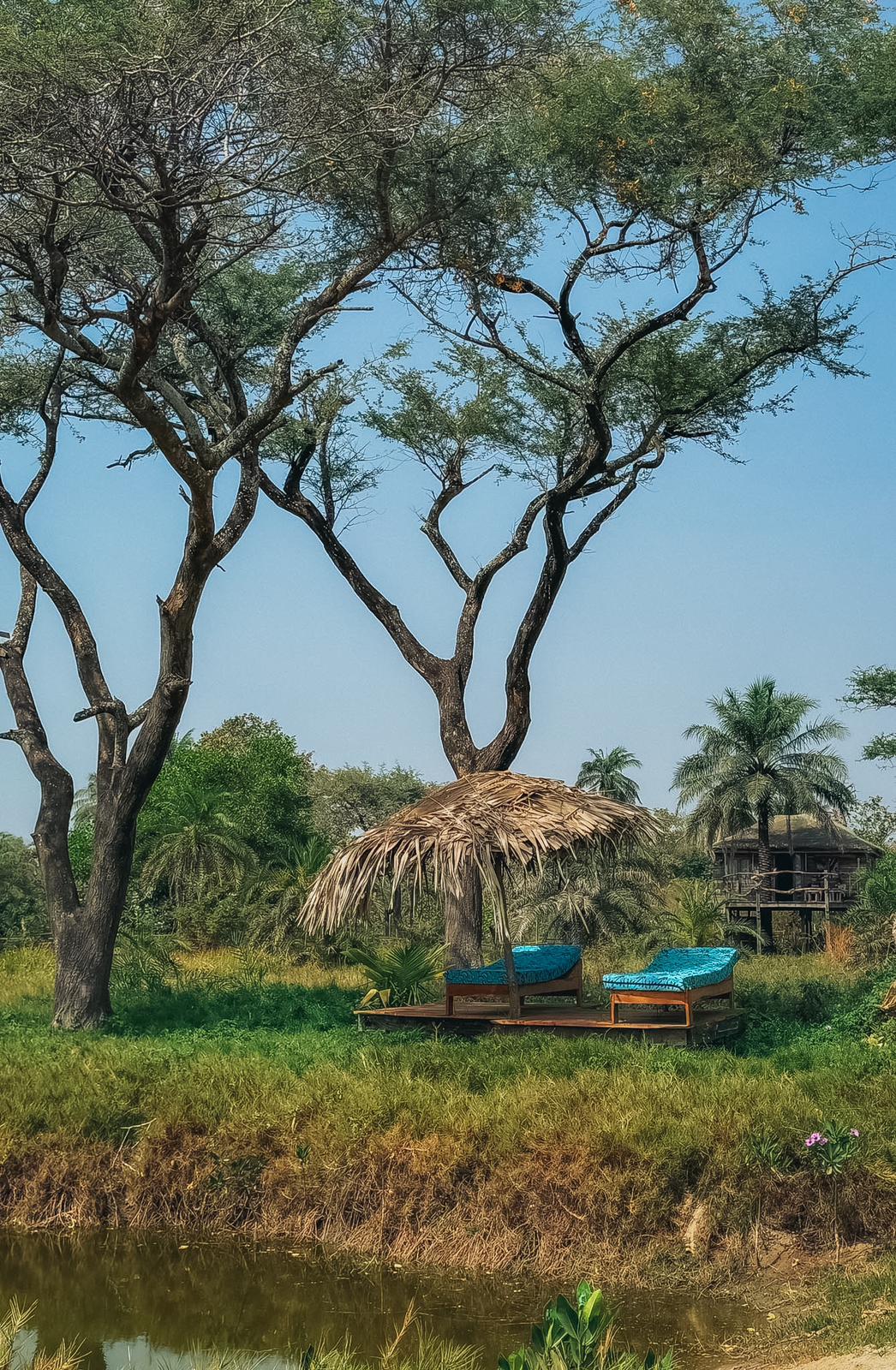 Tropical Garden Lounge