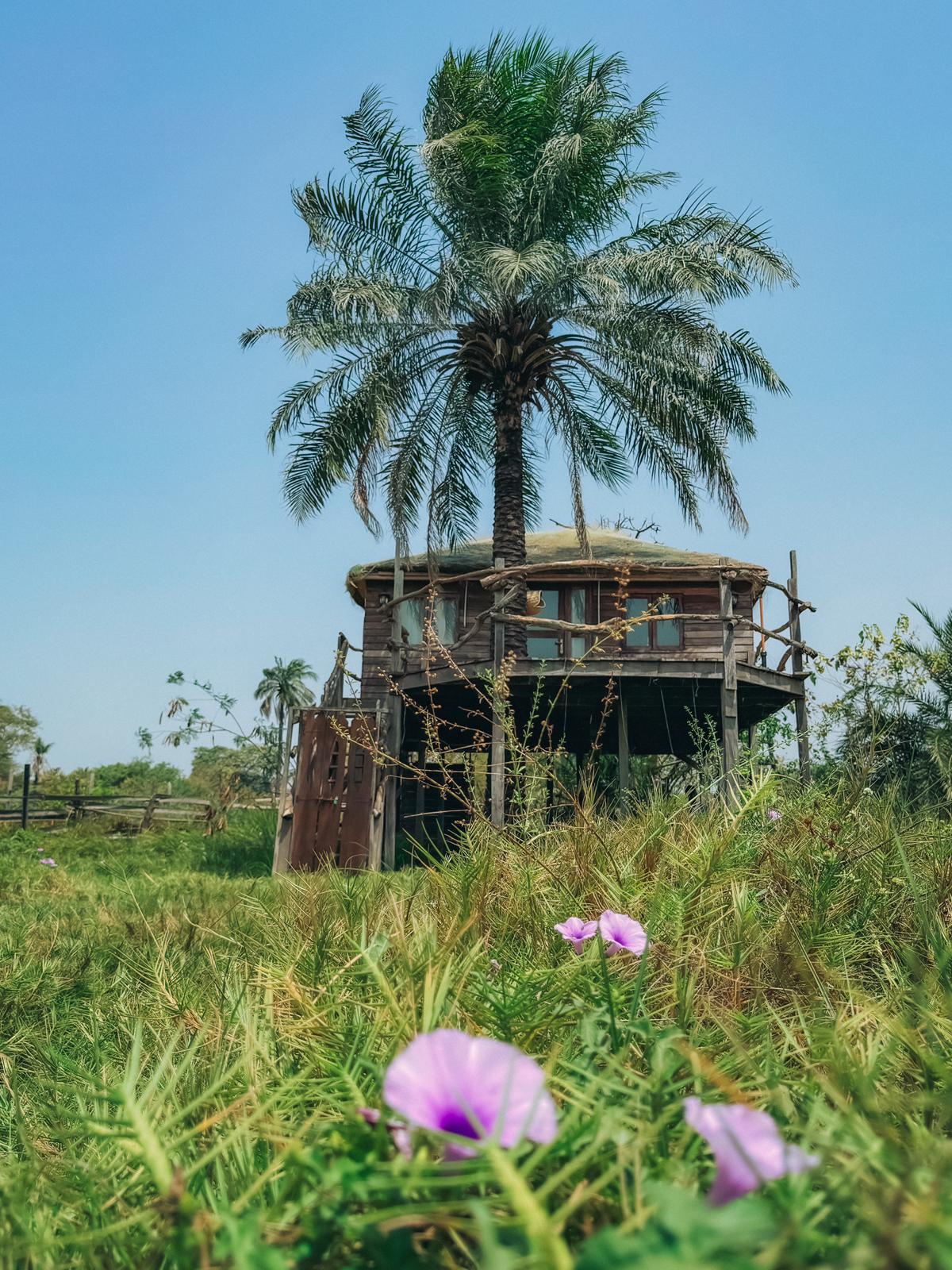 Elevated Nature Hideaway