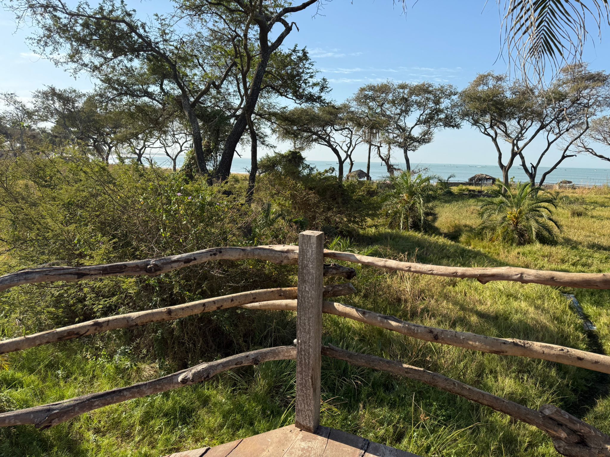 Savanna Horizon View