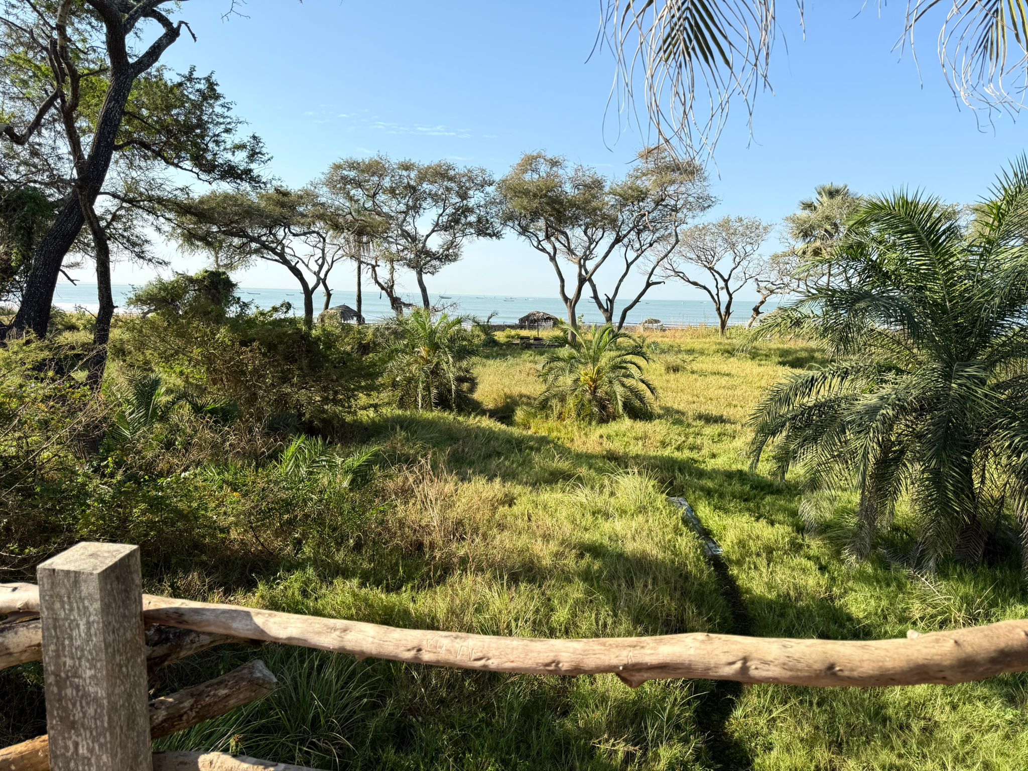 Untouched Nature Panorama