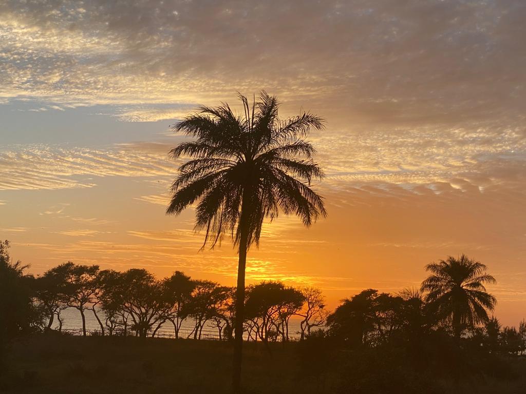 Tropical Sunset Horizon