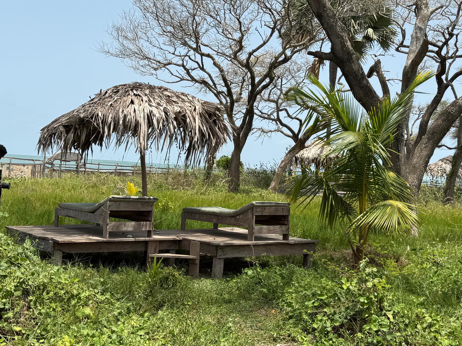 The Tropical Lounge