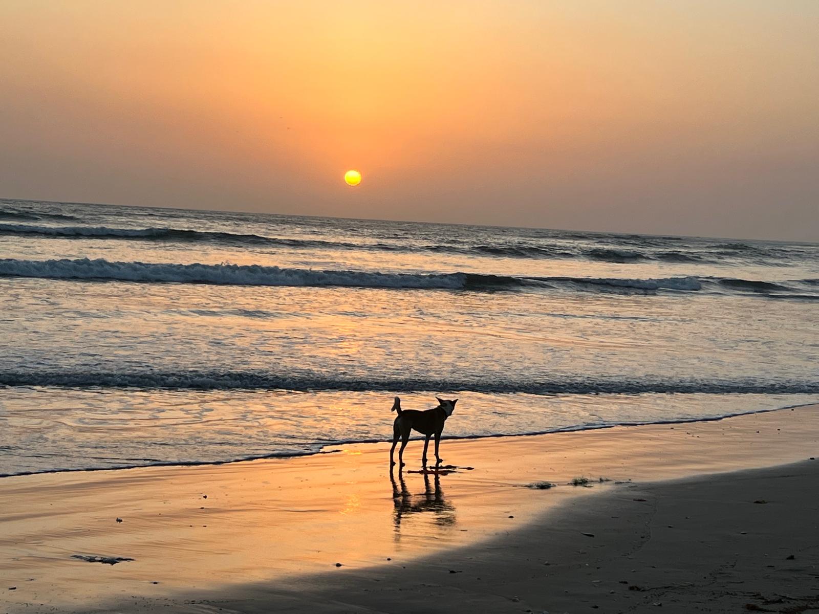 Sunset Retreat